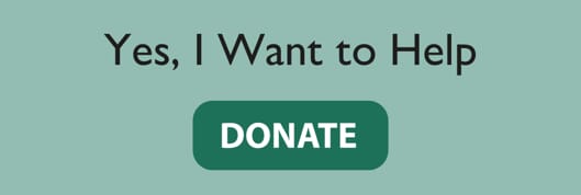 Donate Button